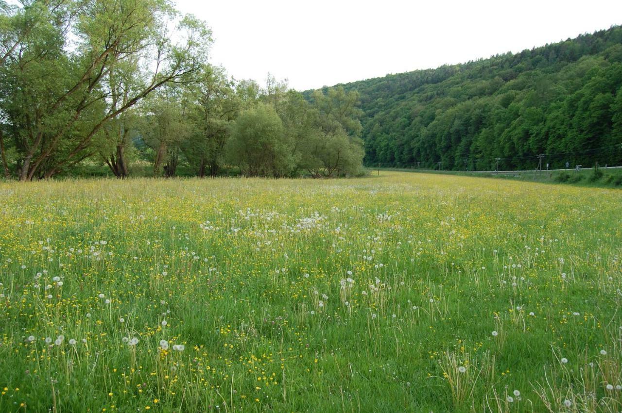 Ferienwohnung Grosso Gräfendorf Zewnętrze zdjęcie